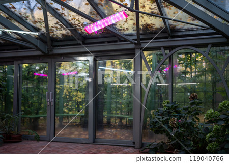 Phytolamps in greenhouse winter garden in autumn-winter time for plants grown instead sun. 119040766