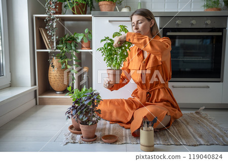 Focused woman takes care of home-grown basil plant sits on kitchen floor cuts herbs tends harvests. 119040824
