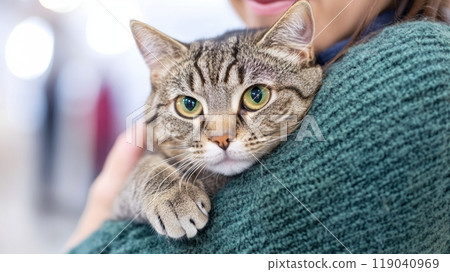 Cozy Moment with a Tabby Cat in a Green Sweater, AI Cozy Moment with a Tabby Cat in a Green Sweater, AI 119040969
