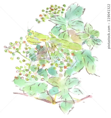 A watercolor illustration of a summer to autumn landscape with lovely colored cornflowers and a praying mantis 119041322