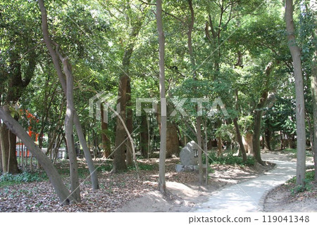 平靜溪流中的神戶生田森林 平靜溪流中的神戶生田森林 119041348