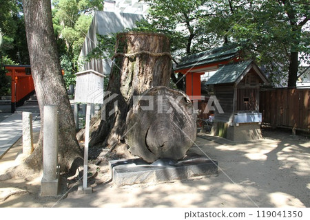 平靜溪流中的神戶生田森林 平靜溪流中的神戶生田森林 119041350