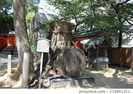 平靜溪流中的神戶生田森林 119041351