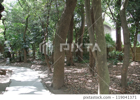Kobe Ikuta Forest, surrounded by a tranquil stream Kobe Ikuta Forest, surrounded by a tranquil stream 119041371