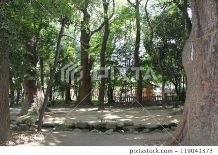 平靜溪流中的神戶生田森林 119041373