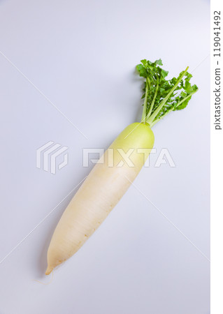 Japanese radish Japanese radish 119041492