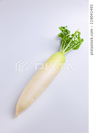 Japanese radish Japanese radish 119041493