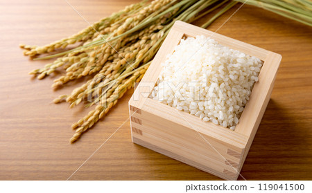 裝在盒子裡的白米飯 119041500