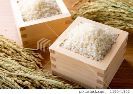 裝在盒子裡的白米飯 119041502