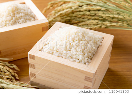 White rice served in a box White rice served in a box 119041503