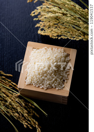New rice, high-quality New rice, high-quality 119041537