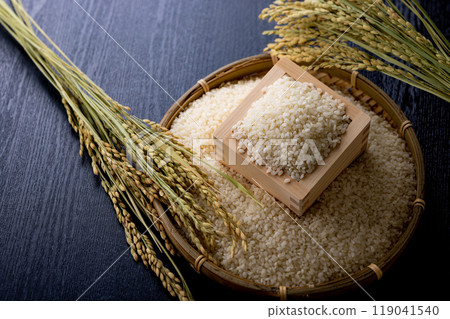 New rice, high-quality New rice, high-quality 119041540