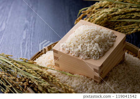New rice, high-quality 119041542