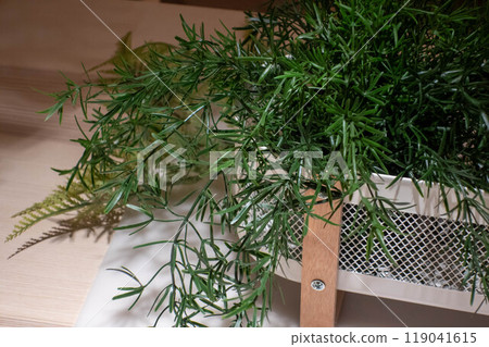 室內植物室內 119041615