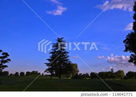 Blue sky and clouds, golf course at dusk 119041771