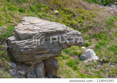 Yukimizaki 119042045