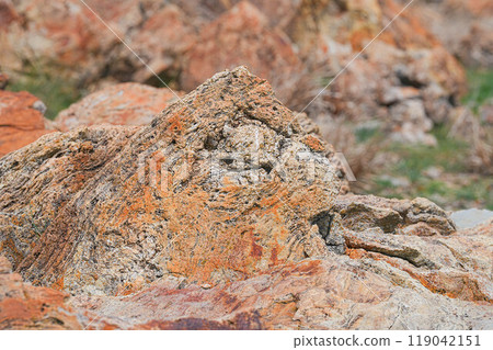 Yukimizaki 119042151