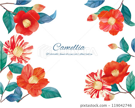 Watercolor illustration of red camellia flowers 119042746