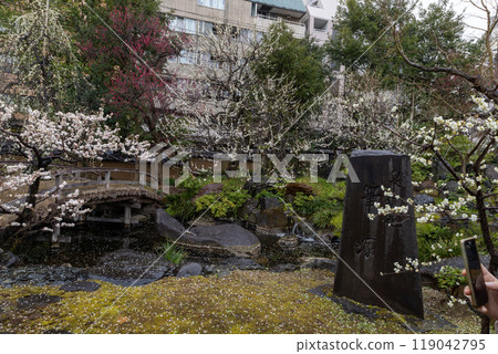 美麗的花園和早春盛開的梅花 119042795