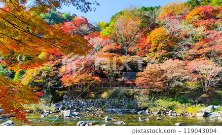 Korankei (Autumn) Korankei (Autumn) 119043004