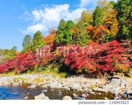 Korankei (Autumn) 119043023