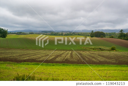 Autumn sightseeing spots in Hokkaido Autumn sightseeing spots in Hokkaido 119043213