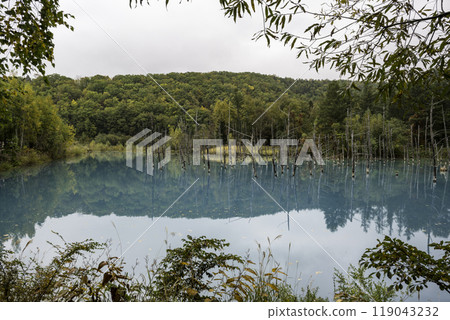 Autumn sightseeing spots in Hokkaido 119043232