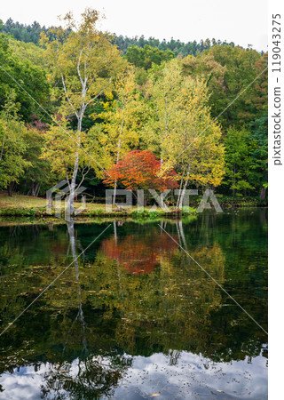 秋天的北海道觀光景點 119043275