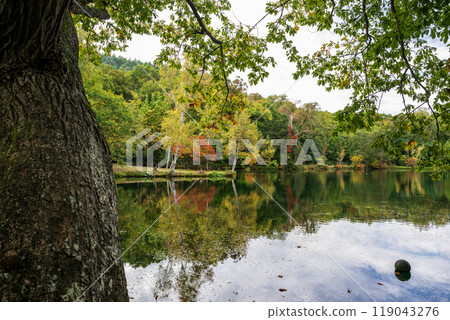 秋天的北海道觀光景點 119043276