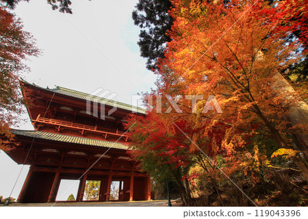 Autumn leaves of Koyasan Daimon 119043396