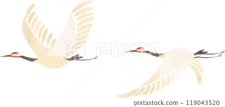 Illustration of two cranes flying in the sky Illustration of two cranes flying in the sky 119043520