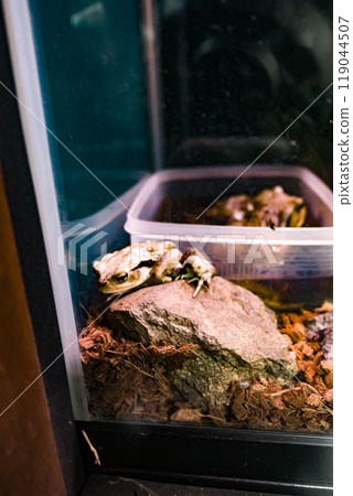 失敗 失敗 119044507