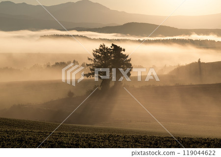 山籠罩在霧氣中 119044622
