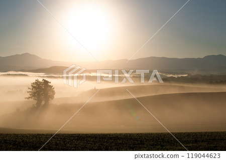 山籠罩在霧氣中 119044623