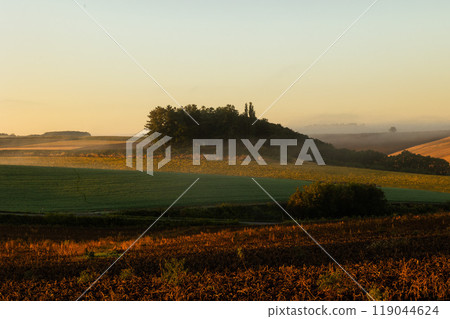 美瑛早晨的風景 119044624