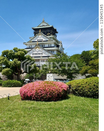Blue sky, Satsuki and Osaka Castle 119045345