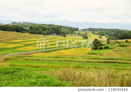 Tonomiyamori rice terraces Tonomiyamori rice terraces 119045826