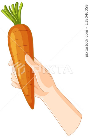 Hand Holding a Fresh Carrot 119046059