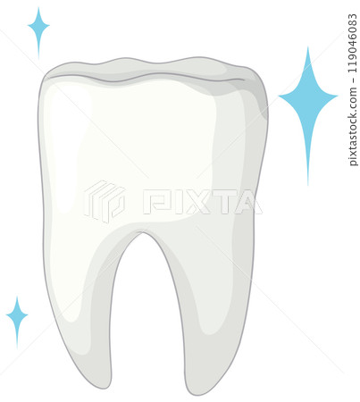 Sparkling Clean Tooth Illustration 119046083