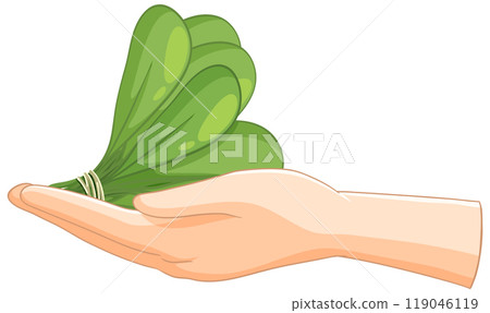 Hand Holding Fresh Green Spinach Leaves 119046119