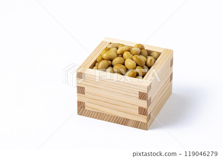 soy soy 119046279