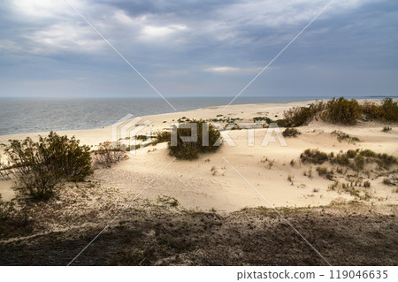 View of Dune Ridge and Curonian Lagoon from Efa height in Curonian spit national Park. Russia 119046635