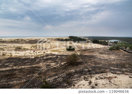 View of Dune Ridge and Curonian Lagoon from Efa height in Curonian spit national Park. Russia View of Dune Ridge and Curonian Lagoon from Efa height in Curonian spit national Park. Russia 119046636