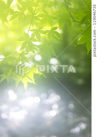 藍色的楓葉和清澈的溪流 大山北澤溪流 119046738