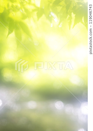 Green maples and clear streams: Oyamakiyazawa mountain stream Green maples and clear streams: Oyamakiyazawa mountain stream 119046743