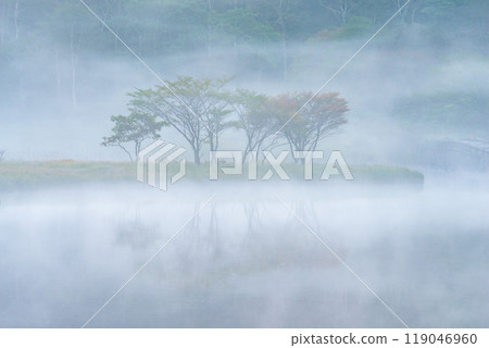 Akagiyama, Kakumanbuchi surrounded by morning mist [Gunma Prefecture] 119046960