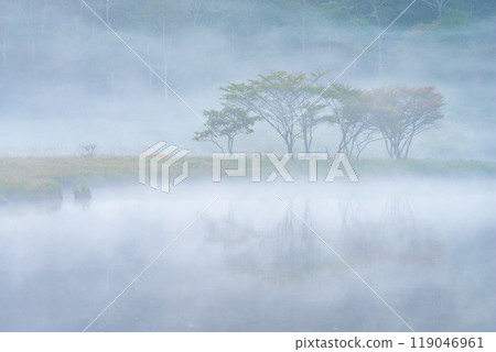 Akagiyama, Kakumanbuchi surrounded by morning mist [Gunma Prefecture] 119046961