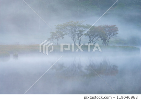Akagiyama, Kakumanbuchi surrounded by morning mist [Gunma Prefecture] 119046968