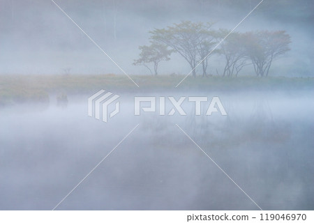 Akagiyama, Kakumanbuchi surrounded by morning mist [Gunma Prefecture] 119046970