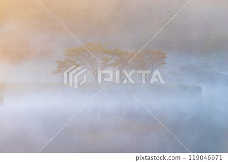 Akagiyama, Kakumanbuchi surrounded by morning mist [Gunma Prefecture] 119046971